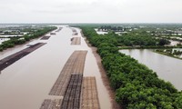 Toàn cảnh Khu bảo tồn thiên nhiên đất ngập nước Tiền Hải