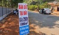 Bắt đầu hậu kiểm thuế với hồ sơ chuyển nhượng bất động sản. ảnh minh hoạ 