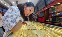 Đề xuất nhập khẩu, lập trung tâm kinh doanh vàng