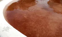 Nước ở một vùng trũng tại Fuente Encalada, Tây Ban Nha, nhuộm màu đỏ do tảo Haematococcus pluvialis sau cơn mưa. Ảnh: Joaquín Pérez.