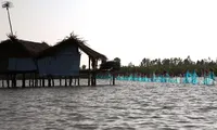 Trả lại hiện trạng tự nhiên Đầm Thị Tường
