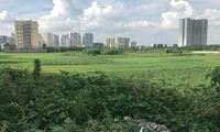 Khu đất Dự án Xây dựng Bệnh viện đa khoa Quang Trung ở Hoàng Mai do Công ty Cổ phần bệnh viện đa khoa Quang Trung làm chủ đầu tư "đắp chiếu" cả thập kỷ chính thức bị thu hồi.