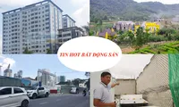 Bitexco &apos;ngâm&apos; dự án 7 năm bị gạch tên, cư dân NƠXH &apos;tố&apos; loạt sai phạm
