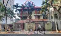 Yêu cầu chủ biệt thự đô thị mẫu chặt cây, lát vỉa hè sai quy hoạch trả lại nguyên trạng