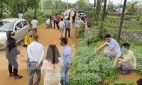 Loạt khu vực ở Hà Nội ‘sốt đất’: Mua bán chủ yếu giữa các nhà đầu cơ