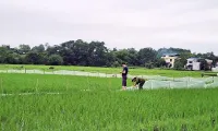 Bộ TN-MT yêu cầu Thái Nguyên báo cáo việc đất chưa ‘sạch’ đã bán đấu giá
