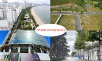 Đền bù gần 1 tỷ đồng/m2 khi thu hồi đất, &apos;lệnh&apos; báo cáo thanh tra dự án nhà ở chuyển đổi từ đất công