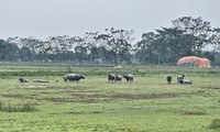 Người dân có đất nông nghiệp bị thu hồi sẽ được bồi thường bằng nhà ở