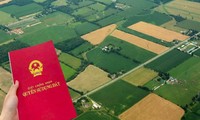 Những trường hợp nào được coi là đất không có giấy tờ sẽ được cấp sổ đỏ?