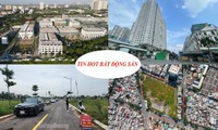 Tìm kiếm đất nền bật tăng, giá chung cư cao cấp giảm nhẹ