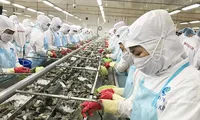 Nhiều mặt hàng của Việt Nam sẽ có lợi thế vào EU nhưng cũng sẽ chịu cạnh tranh ngay chính trê sân nhà