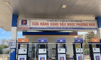 Kinh doanh xăng dầu: Tại sao không để thị trường quyết định giá?