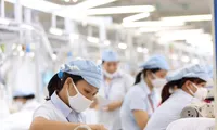 Lộ diện 9 tỉnh thành có kim ngạch xuất khẩu trên 10 tỷ USD 