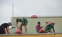 Bộ đội giúp dân chằng chống nhà cửa phòng chống bão. Ảnh: Xuân Lương