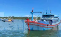 Tàu cá QNg 90962 TS trở về cảng Sa Kỳ vào sáng ngày 17/9.