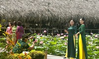 Đầm sen nở sớm ở Khánh Hòa, hàng trăm &apos;nàng thơ&apos; xúng xính áo dài chụp ảnh