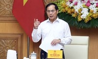 Phó Thủ tướng chỉ đạo &apos;nóng&apos;: Kiểm tra xử lý ngay khi người dân phản ánh hàng giả
