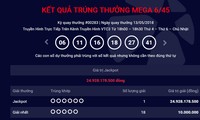 Kết quả xổ số Vietlott ngày 13/5 xác định một khách hàng trúng giải jackpot trị giá gần 25 tỷ đồng.