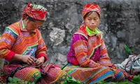 Hà Giang, Cần Thơ được khách du lịch Việt Nam yêu thích trong năm 2023