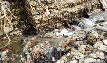 Cảnh ô nhiễm đáng sợ ở chân cầu Long Biên: Bao giờ rác 'nở' thành hoa?