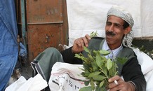 Những người Yemen chỉ ăn lá cây để tồn tại
