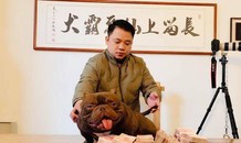 Đại gia chi 2,6 tỷ đồng rước chó 'cơ bắp' siêu khủng về Việt Nam