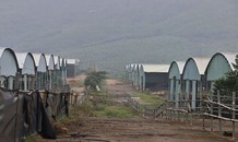 Cảnh hoang tàn bên trong dự án nuôi bò nghìn tỷ ở Hà Tĩnh
