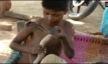 Bé trai 7 tuổi có sở thích chơi đùa với loài rắn hổ mang cực độc