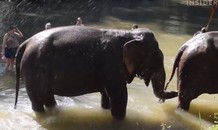 10 trải nghiệm nhất định nên thử khi du lịch Thái Lan