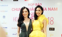 Dàn hoa hậu, người đẹp 'đổ bộ' họp báo Chung khảo Hoa hậu Việt Nam