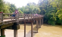 Bản tin 8H: Đi chơi với nhóm bạn, cô gái bất ngờ lao xuống sông