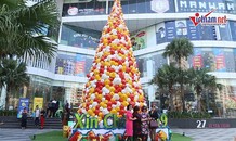 2.000 chiếc nón lá tạo thành cây thông Noel cao hàng chục mét ở Hà Nội