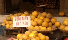 Sự thật về việc bưởi Diễn mất giá, chỉ còn 25.000 - 30.000/quả