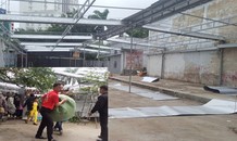 Tháo dỡ Trung tâm mua sắm trái phép chống lệnh Chủ tịch tỉnh
