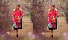 Bức ảnh cô gái khuyết tật giữa rừng hoa xuân khiến dân mạng xúc động
