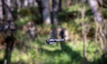 Drone Nano - Thiết bị trinh sát bỏ túi của binh sĩ trên chiến trường