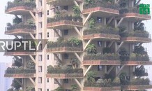 Kỳ lạ khu rừng thẳng đứng bao trùm cao ốc ở Trung Quốc