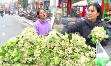 Tiết lộ thu nhập 'khủng' của gánh hàng rong bán hoa bưởi