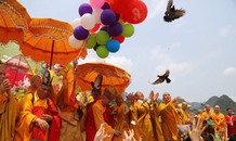 Vesak 2019: Phóng sinh bồ câu, thả bóng bay nguyện cầu hòa bình thế giới