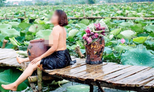 Quận Tây Hồ cấm chụp ảnh nude bên hồ sen