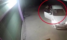 Cẩu tặc đi ô tô, dùng súng điện trộm chó trong vài giây