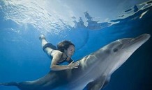 Điều gì xảy ra nếu con người sống dưới đáy biển?