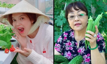 Vườn rau quả của các sao Việt