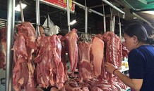 Lý giải nguyên nhân giá thịt lợn tăng cao kỷ lục