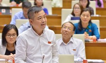 Loạn văn bằng, chứng chỉ có phải để nuôi các cơ sở đào tạo?