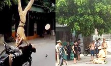 Vụ 'quái xế' đi mô tô hất tung Thượng úy CSGT: Xe chạy với tốc độ 61km/h