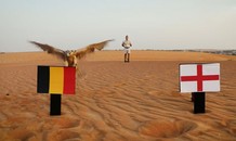 Tranh hạng 3 World Cup: ‘Tiên tri’ chim cắt dự đoán Bỉ thắng Anh