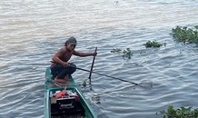 Chích điện bắt lại cá phóng sinh ở chùa Bồ Đề