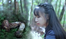 Dân mạng thích thú xem 'tiên nữ đồng quê' Lý Tử Thất cuốc đất trồng ngô