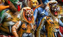 Độc đáo màn múa hổ của người Ấn Độ